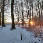 New SIG on Regenerative Tourism