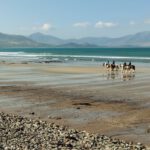 New SIG on Regenerative Tourism